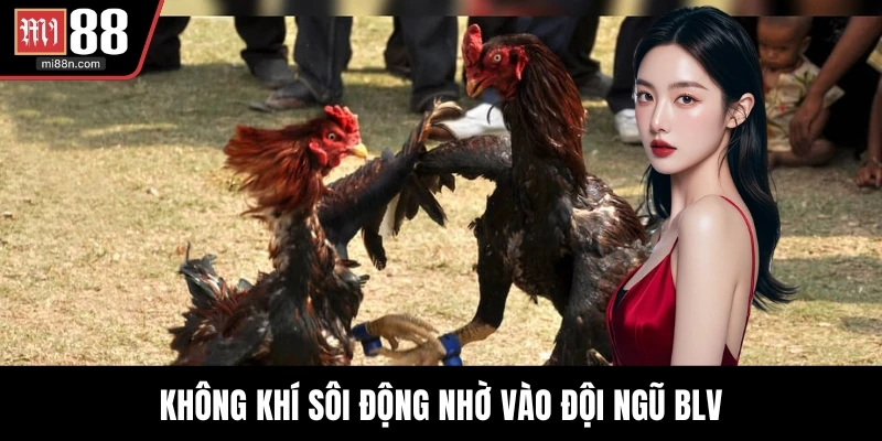 Không khí sôi động nhờ vào đội ngũ BLV