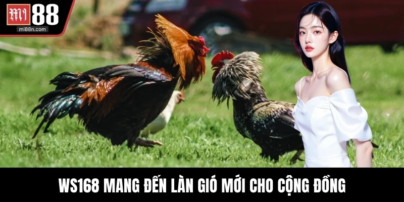 WS168 mang đến làn gió mới cho cộng đồng